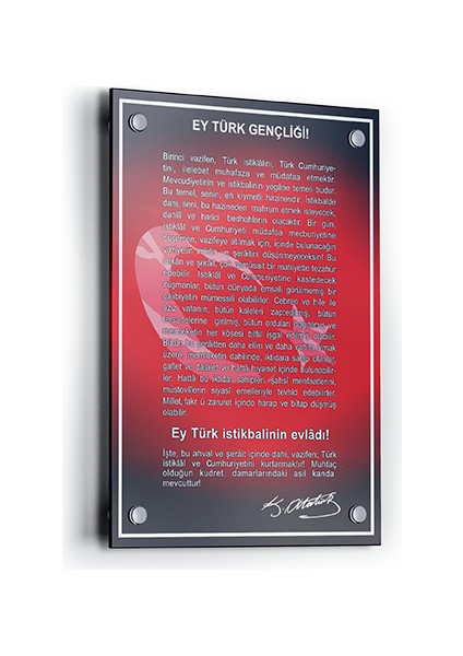 Cam - Fleksi Tablo - Gençliğe Hitabe 70X100 cm - 4.8 mm
