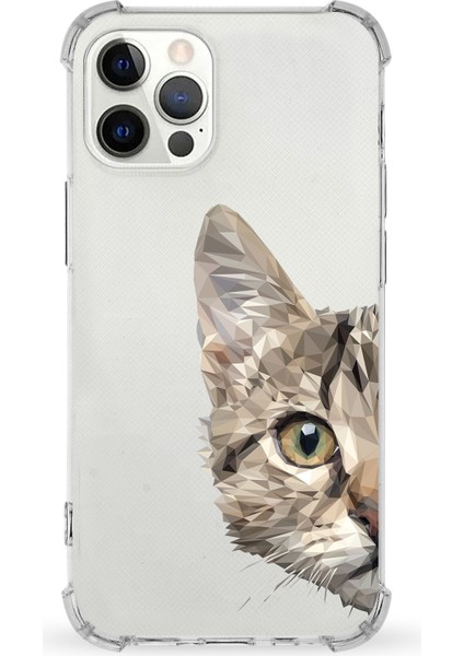Apple iPhone 12 Pro Uyumlu Darbe Emici Antişok Kapak Catface Tasarımlı Silikon Şeffaf Kılıf