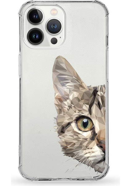Apple iPhone 13 Pro Uyumlu Darbe Emici Antişok Kapak Catface Tasarımlı Silikon Şeffaf Kılıf