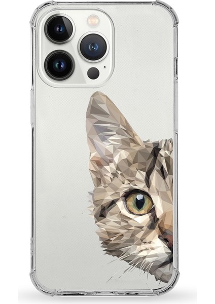 Apple iPhone 13 Pro Max Uyumlu Darbe Emici Antişok Kapak Catface Tasarımlı Silikon Şeffaf Kılıf