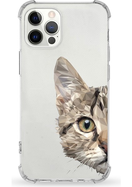 Apple iPhone 12 Pro Max Uyumlu Darbe Emici Antişok Kapak Vespagirl Tasarımlı Silikon Şeffaf Kılıf