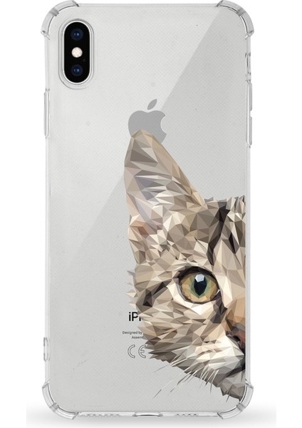 Apple iPhone Xs Uyumlu Darbe Emici Antişok Kapak Vespagirl Tasarımlı Silikon Şeffaf Kılıf