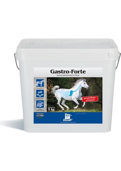 Derby Gastro Forte 5 kg