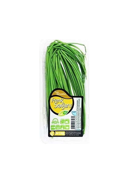 Erüst Frenk Soğanı (25 G)