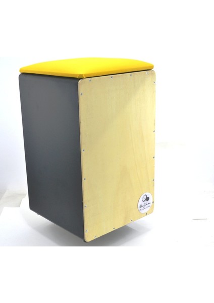 Rtcast Ahşap Desen Minderli Cajon