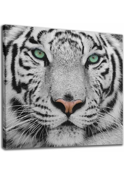 Kaplan Dekoratif Kanvas Tablo 1111 fiyatları