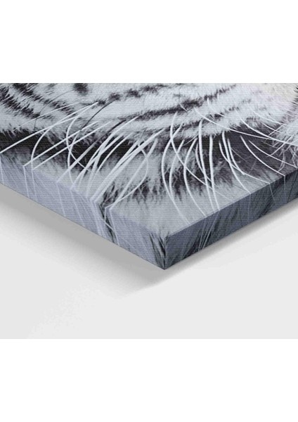 Kaplan Dekoratif Kanvas Tablo 1111 modelleri