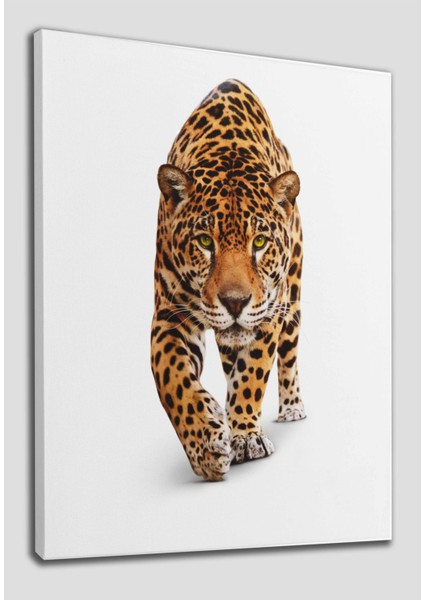 Leopar Dekoratif Kanvas Tablo 1181