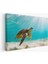 Deniz Kaplunbağası Dekoratif Kanvas Duvar Tablosu 2