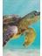 Deniz Kaplunbağası Dekoratif Kanvas Duvar Tablosu 3