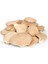 Istiridye Mantarı Paket (300 G) 1