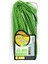 Erüst Frenk Soğanı (25 G) 1
