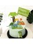 Dinozor Kek Dekorasyon Cupcake Topper Doğum Günü Partisi Malzemeleri (Yurt Dışından) 4