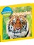 National Geographic Kids Dünyamızı Keşfedin Kaplanlar - Jill Esbaum 1