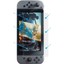 Switch Ekran Koruyucu Kırılmaz Cam 9h 2