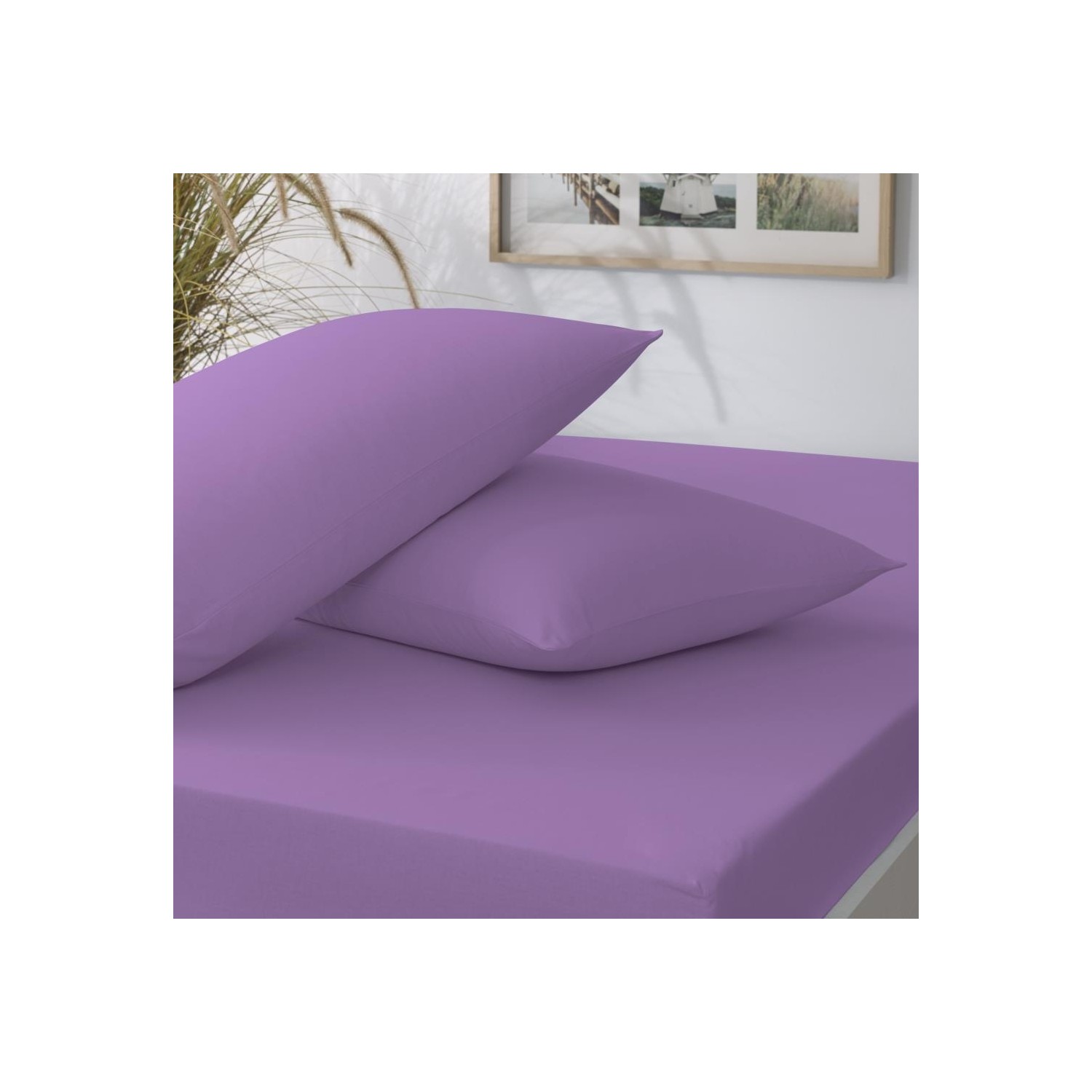 Taç Basic Lastikli Çift Kişilik Çarşaf Seti Lila 180X200 cm Fiyatı
