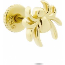 Glorria Altın Örümcek Helix Piercing