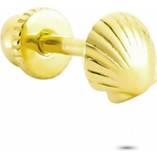 Glorria Altın Istiridye Helix Piercing