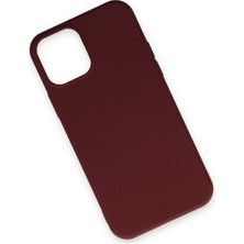 Nevarium Apple iPhone 12 Kılıf Lansman Içi Kadife Nano Silikon - Bordo