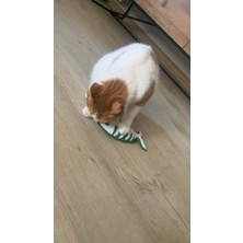 Dino Oyuncak Dino Pet Oyuncak - Kedi Naneli (Catnipli) Kedi Oyuncağı - Keçe Yeşil Balık