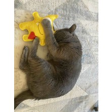 Dino Oyuncak Dino Pet Oyuncak - Kedi Naneli (Catnipli) Kedi Oyuncağı - Keçe Sarı Canavar