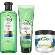 Herbal Essences Vegan Şampuan Onarıcı Argan Yağı 400 ml Krem,yağ ve Argan Yağı Maskeli Set