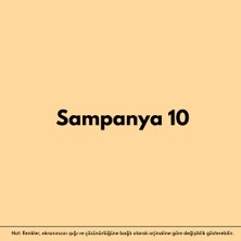 izower Zemin ve Kort Boyası – Şampanya 10 (18KG)