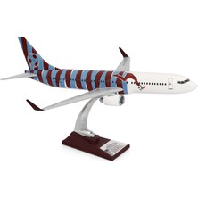 Zekupp Boeing 737-800 Bordo Mavi Taraftar Özel Tasarımlı 1/100 Maket Uçak, Model A