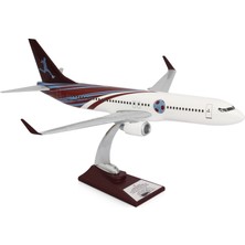 Zekupp - Maket Uçak Boeing 737-800 1/100 - Bordo Mavi Taraftar, Özel Tasarım Model Uçak