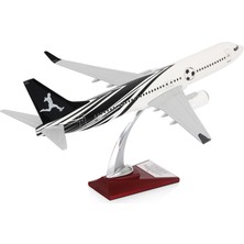 Zekupp - Maket Uçak Boeing 737-800 1/100 - Siyah Beyaz Taraftar, Özel Tasarım Model Uçak