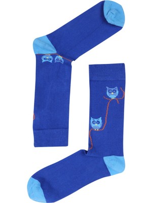 TheSocksCompany Wise Birds Erkek Çorap