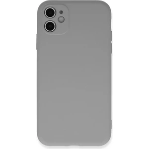 Apple iPhone 11 Kılıf Lansman Içi Kadife Nano Silikon - Açık Gri