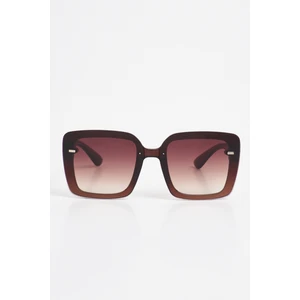 Aqua Di Polo 1987 Kadın Kahverengi UV 400 Korumalı Güneş Gözlüğü APSN004301