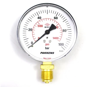 0-100 Bar 100 mm Alttan Bağlantılı Kuru Manometre G 1/2 inç