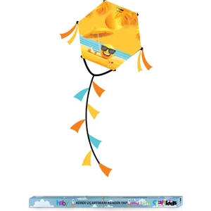 Craft Kids Uçurtma Kites Kendi Uçurtmanı Kendin Yap Güneş Desenli