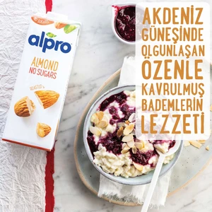 Şekersiz Badem Sütü 2x1L - Laktozsuz, Glutensiz, Vegan, Kalsiyum ve Vitamin Kaynağı, Belçika Üretimi