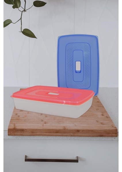 2'li Saklama Kabı Pembe, Mavi Kapaklı