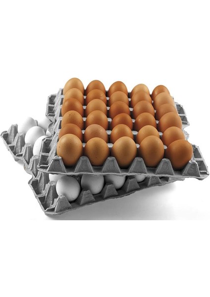 30 Lu Yumurta Viyolü 15,5 Lbs (250 Adet Küçük Boy) fırsatları