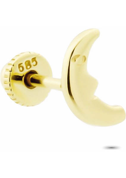 Altın Yarım Ay Helix Piercing
