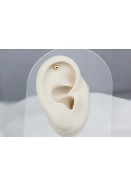 Altın Dorika Helix Piercing fiyatları