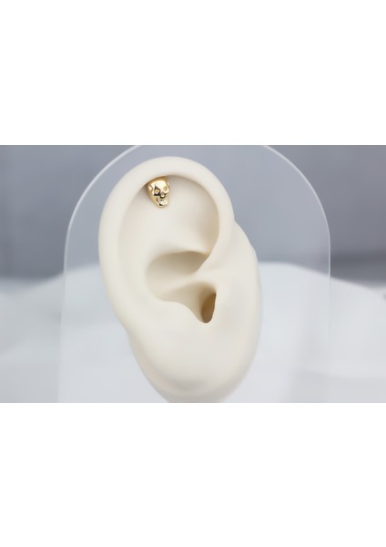 Altın Kuru Kafa Helix Piercing fiyatları