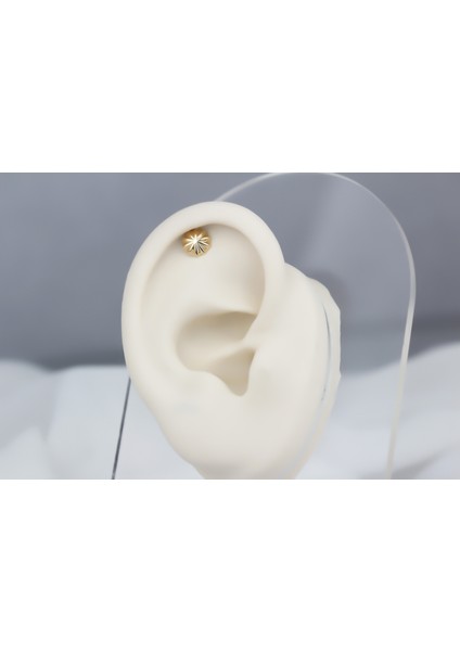 Altın Şemsiye Helix Piercing fiyatları