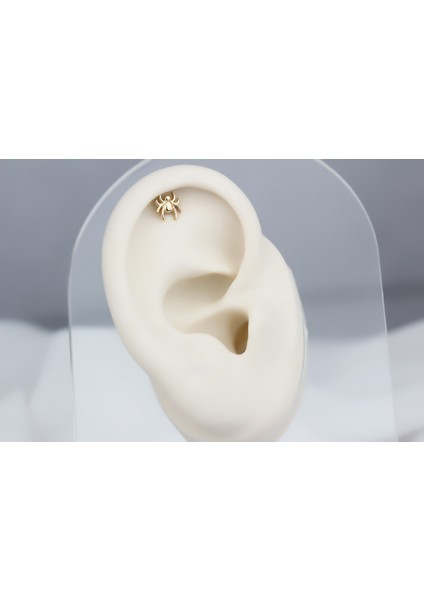 Altın Örümcek Helix Piercing fiyatları