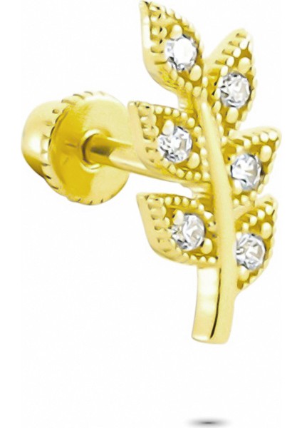 Altın Yaprak Helix Piercing