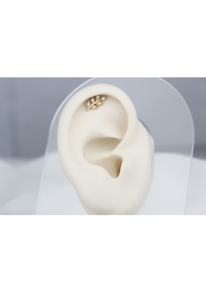 Altın Yaprak Helix Piercing fiyatları