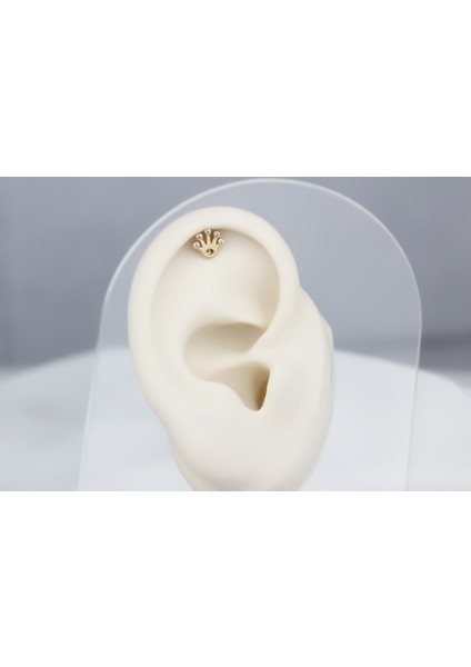 Altın Taç Helix Piercing