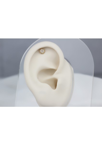 Altın Güneş Helix Piercing