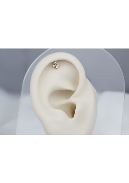 Altın Yonca Helix Piercing fiyatları