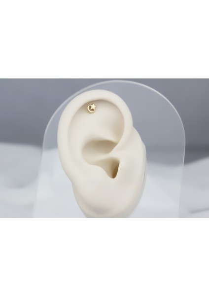 Altın Ay Yıldız Helix Piercing fiyatları