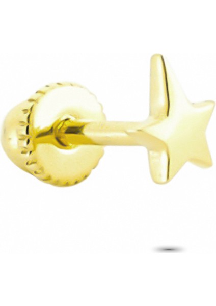 Altın Kutup Yıldızı Helix Piercing